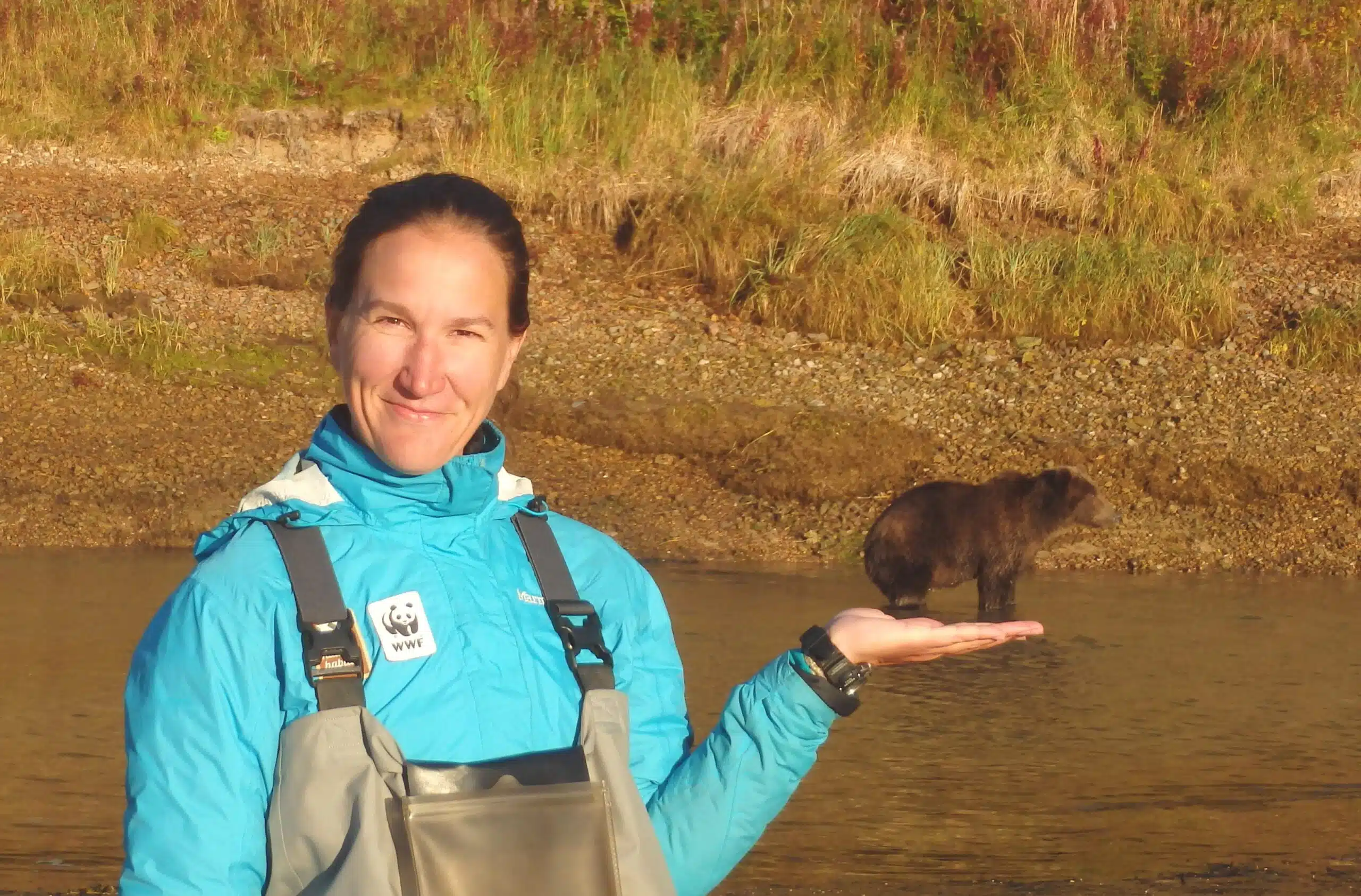 Teresa Whipple Bear Viewing Guide Expert Bear Viewing Guide Teresa Whipple