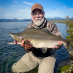 Pink Salmon Fly Fishing Juneau Alaska
